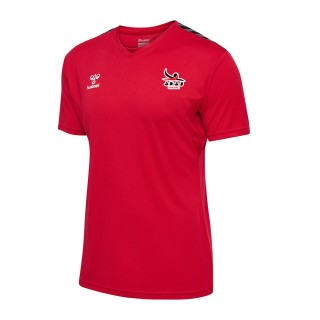 Maillot HmlAuthentic PL Jersey Rouge