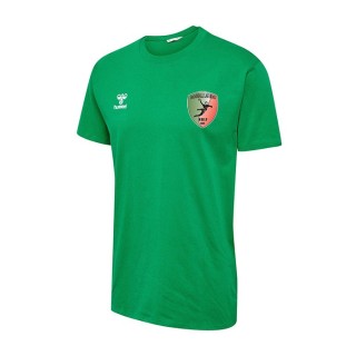 T-shirt HmlGo 2.0 Vert gelée