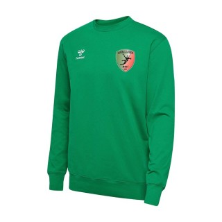 Sweat HmlGo 2.0 Vert gelée