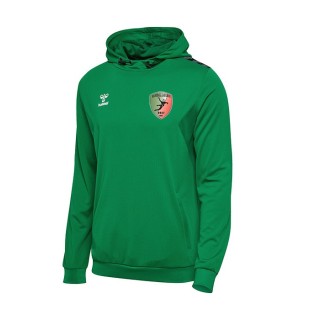 Sweat à capuche HmlAuthentic Jr Vert gelée