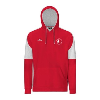 Sweat à capuche Naja Jr Rouge/Gris