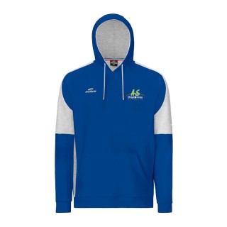 Sweat à capuche Naja Bleu roy/Gris