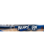 Bears Basketball